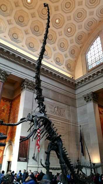 Tips for Families, Veterans, and School Groups