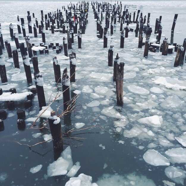 Data Gaps, Observation Needs, and Stakeholder Collaboration