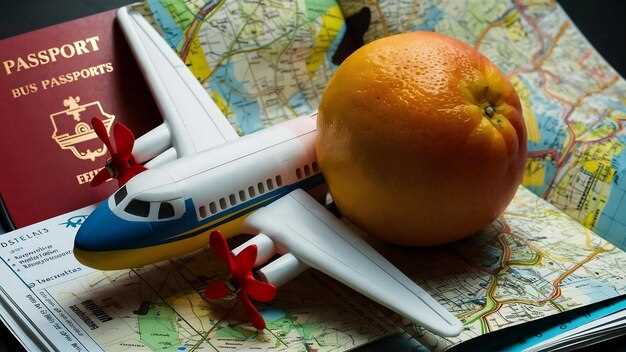 Types of Insurance Plans Available