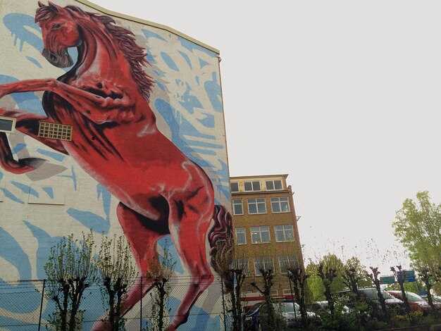 Legal considerations, preservation, and engaging with the local art scene