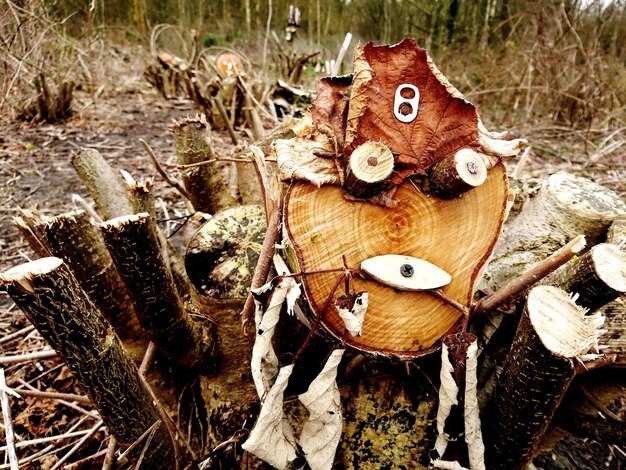 Key Characters and Functions: map the cast and their narrative purposes