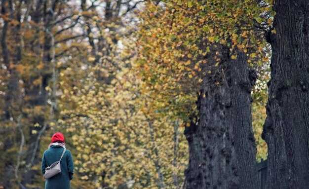 Three-Porter Motif: roles, symbolism, and variations across manuscripts