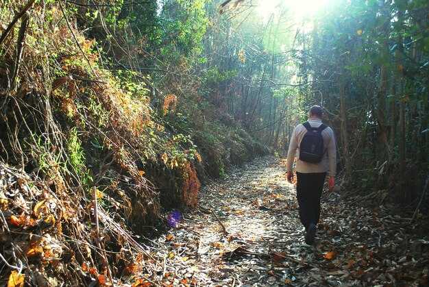 Into the Hidden Valley – Walking the Budawang Range Part 1