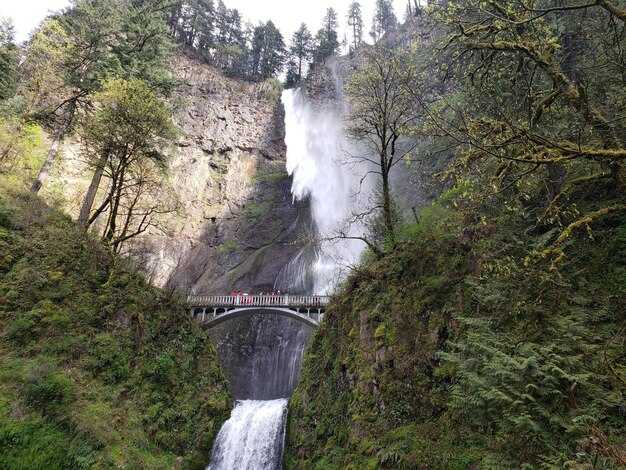 How to Access 33 Waterfalls: Road, Rail, and Shuttle Tips