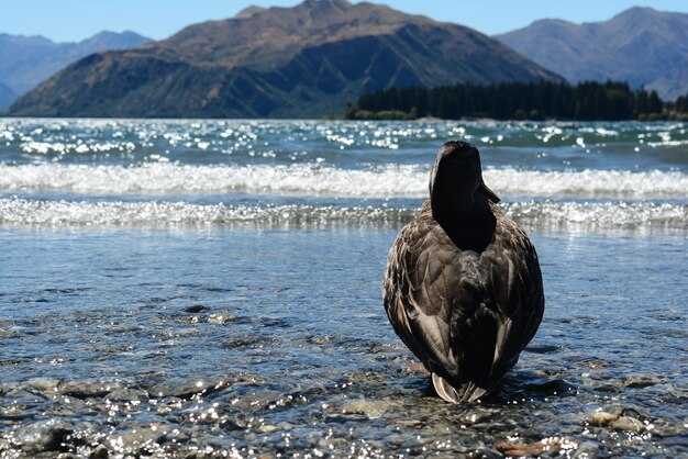 Kronotsky Reserve Outline