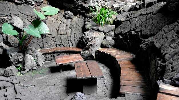 Guided visits: how to book a tour and what to expect