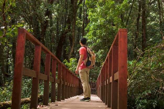 Malabar Hill’s Elevated Micro-Forest Trail – Bringing Nature to Mumbai’s Urban Experience