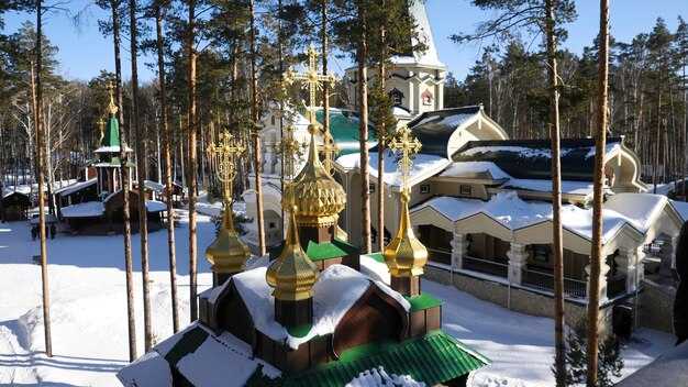 Cultural Micro-Trips: Kremlin, Red Square, and Museums in a Day