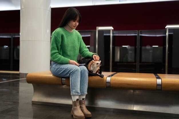Safety, Health, and Accessibility in the Metro