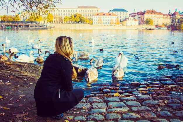 Practical routes and must-see features along the embankment