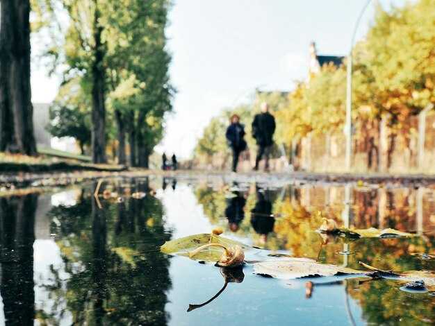 Family trails near metro hubs: easy-to-follow loops with rest areas