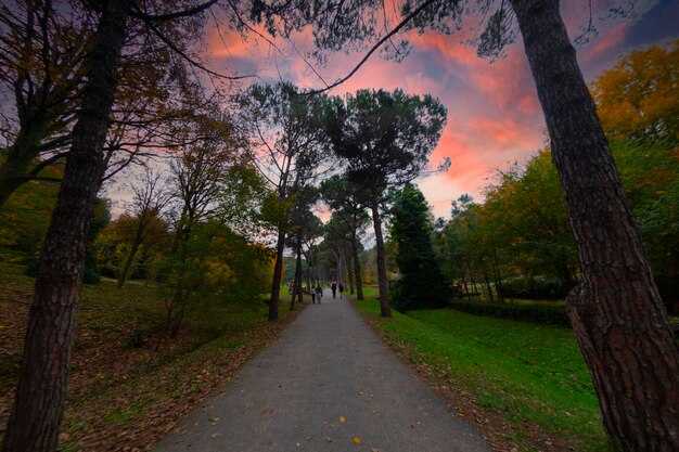 Access points and transit: entering the Promenade Plantée from metro, bus, and bike paths