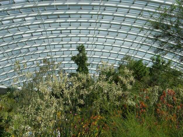 Practical guide: Moscow's scenic greenhouses, featuring 10 Zaryadye Park and Concert Hall nature meets innovation