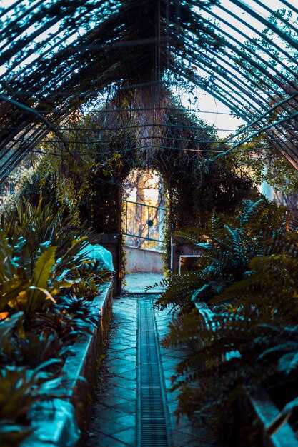 Most Scenic Greenhouses to Explore in Moscow