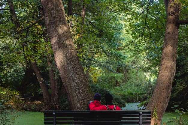 Most Scenic Places to Relax Under Trees – Tranquil Retreats