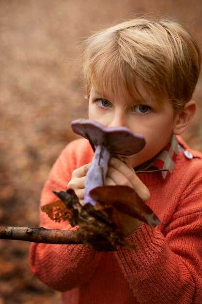 Harvesting Techniques and Tools: Safe Picking at the Dacha