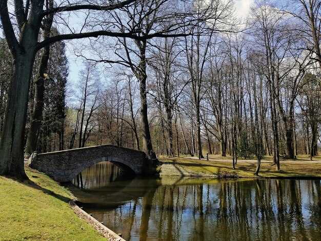 Patriarch’s Ponds Neighborhood – Prague’s Charming Historic Quarter