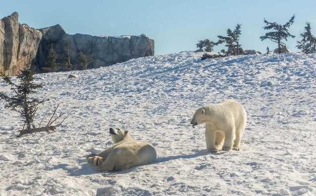 Access and permits: how researchers reach the lake and secure field-time
