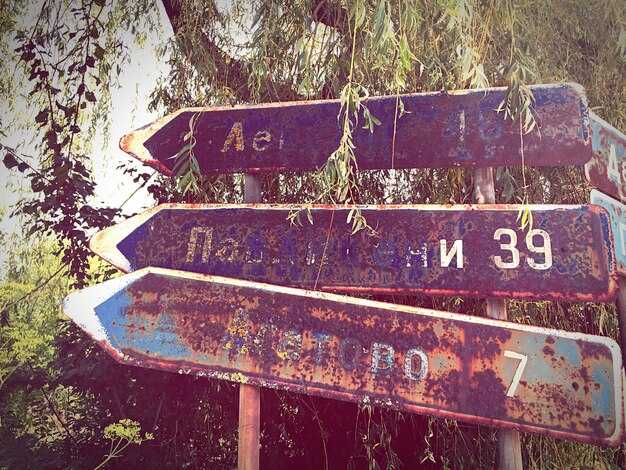 Cataloging and valuation: inventories, condition grading, and provenance records