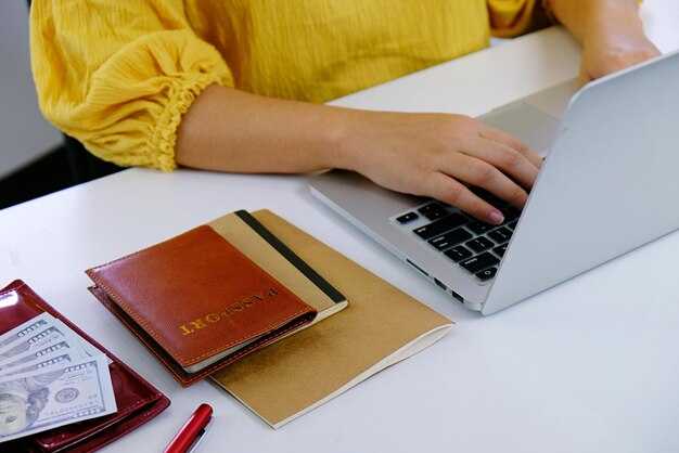 Costs, Processing Times, and Required Documentation for the Extended e-Visa