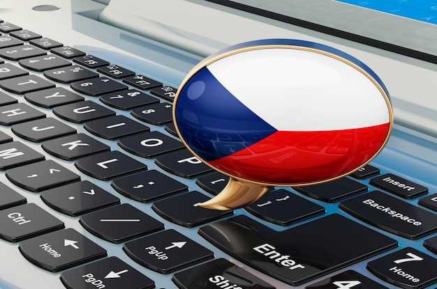 Wiza do Rosji z Holandii – Jak złożyć wniosek, wymagania i opłaty