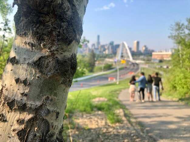 Summer Guide to Moscow Parks – Top Green Spaces and Activities