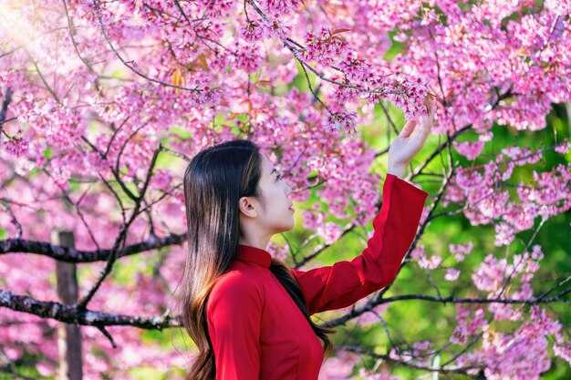 The 7 Best Places to See Cherry Blossoms – Global Hanami Destinations Worldwide