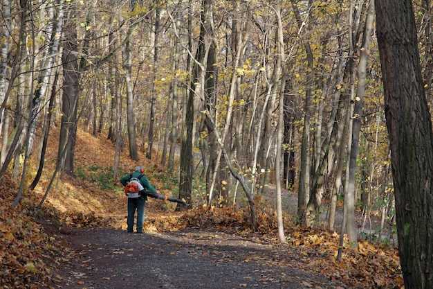 Wildlife, Weather, and Leave-No-Trace Essentials