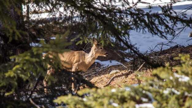 How to select the right park based on interests, distance, and season