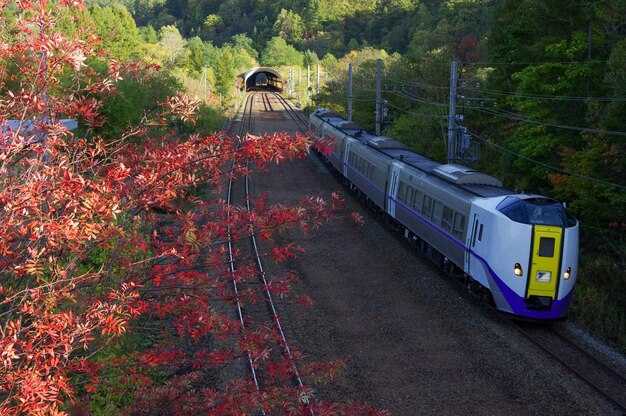 Russia Rail Routes and Booking Basics