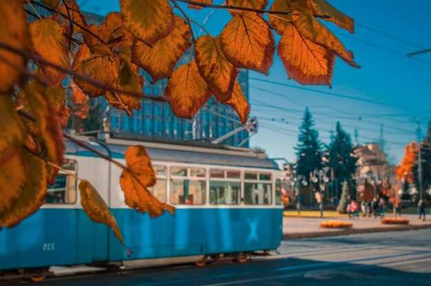 Safety, regulations, and accessibility for travelers with mobility needs