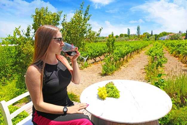 Wine Tasting program: vintages, regions, and how to maximize tastings