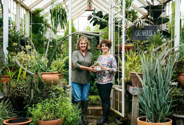 Where to Visit Plant-Filled Botanical Stores – Top Plant Shops Worldwide