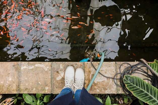 Site Selection: Sunlight, Water Access, Soil Drainage, and Surroundings